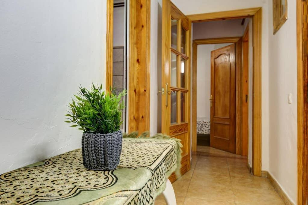 7 Pax Montserrat Ramblas Barcelona 바르셀로나 외부 사진
